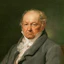 Portrait of Francisco Goya