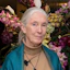 Portrait of Jane Goodall