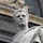 Athanasius of Alexandria