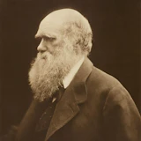 Portrait of Charles Darwin