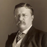 Portrait of Theodore Roosevelt