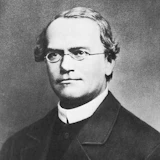 Portrait of Gregor Mendel