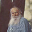 Portrait of Leo Tolstoy