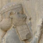 Portrait of Darius the Great
