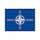 North Atlantic Treaty Organization (NATO)