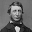 Portrait of Henry David Thoreau