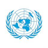 Portrait of United Nations (UN)