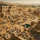 The Indus Valley Civilization